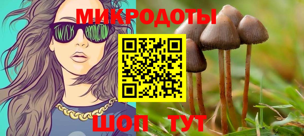наркотики  Вход с VPN  Сибай  Псилоцибиновые грибы Psilocybine cubensis  Галлюциногенные грибы GOLDEN TEACHER 